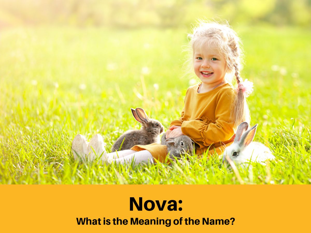Co znamená název Nova?