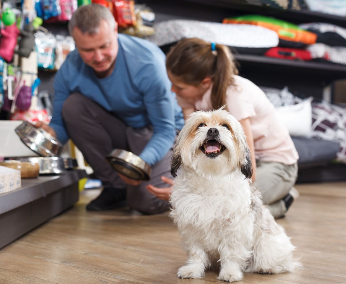 Toko Ramah Anjing: Di Mana Anda Dapat Berbelanja dengan Anjing Anda?