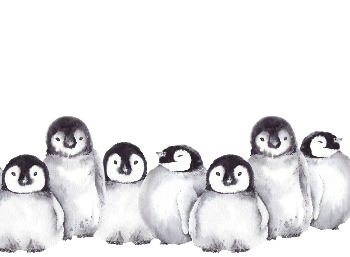 Mar a tharraingeas tu penguin: 10 pròiseactan tarraing furasta