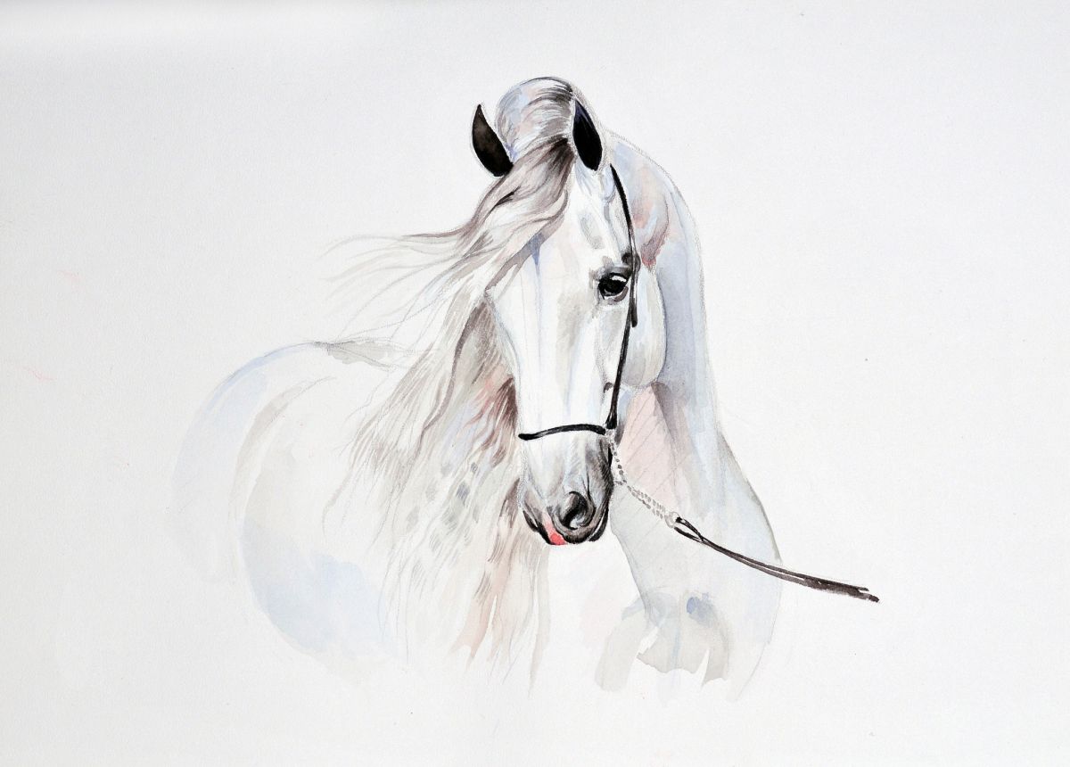 Wie man ein Pferd zeichnet: 15 EINFACHE Zeichnungsprojekte